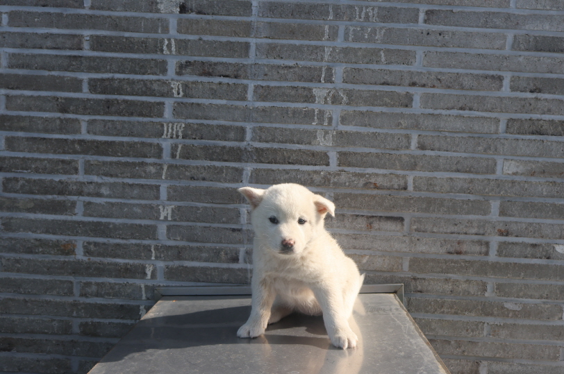 제주 동물보호센터_450650202401143